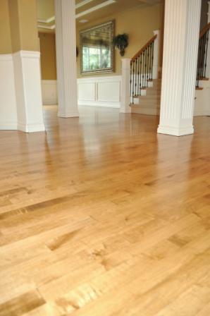 Stained Maple Hardwood Floors In Bothell Classic Hardwood Floors